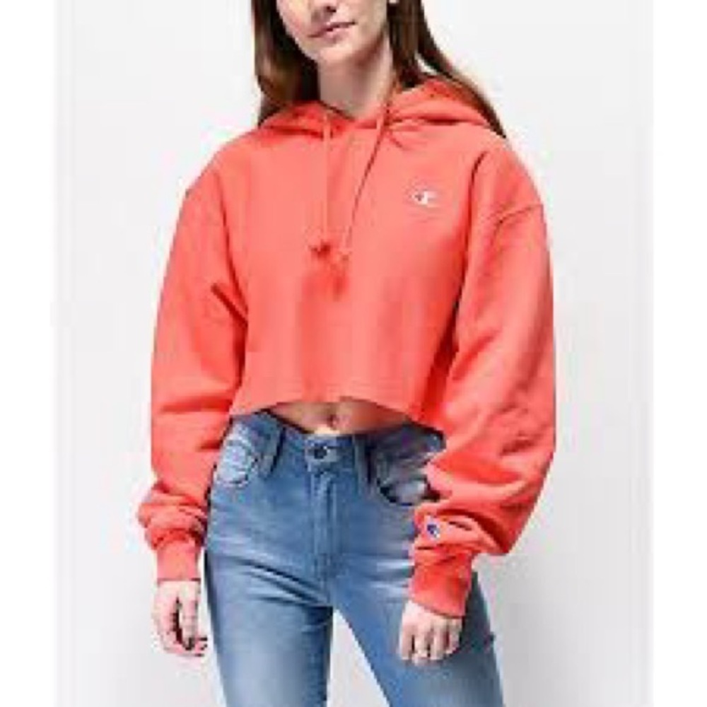 Champion Reverse Weave Oversized Cropped Hoodie Sweatshirt Sz S